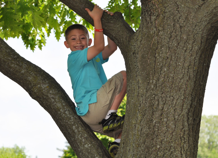 How To Manage Adhd Medication Rebound